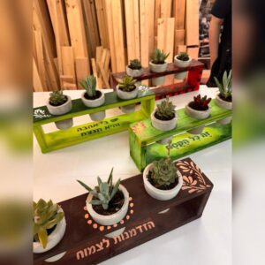 סדנת בטון - 3 עציצי בטון על סטנד מעץ
