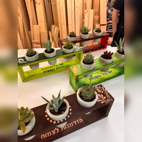 סדנת בטון - 3 עציצי בטון על סטנד מעץ