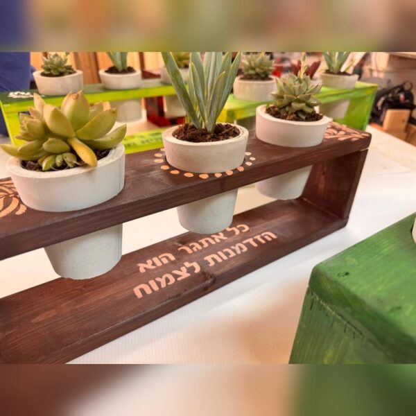 ⁦סדנת בטון - 3 עציצי בטון על סטנד מעץ⁩ – תמונה ⁦8⁩