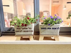 סדנת בטון ליצירת עציץ בטון על סטנד מעץ 6 סדנת בטון ליצירת עציץ בטון על סטנד מעץ