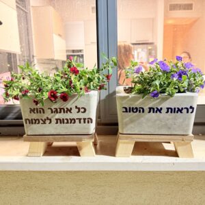 סדנת בטון ליצירת עציץ בטון על סטנד מעץ