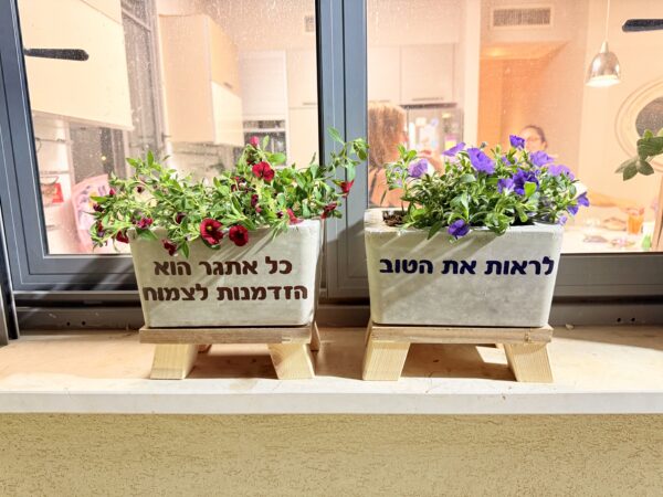 סדנת בטון ליצירת עציץ בטון על סטנד מעץ