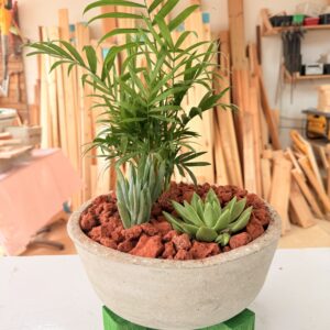 סדנת בטון ליצירת עציץ בטון על סטנד מעץ